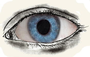 Как нарисовать глаза человека, шаг 7