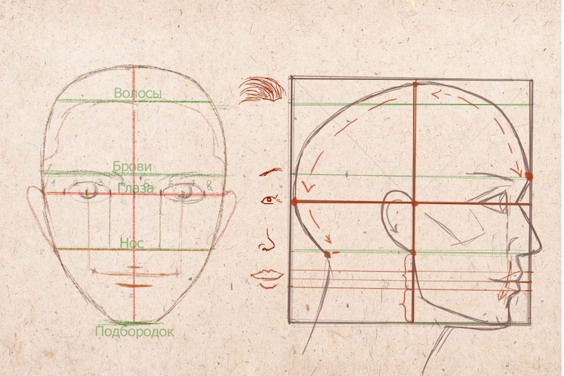 как научиться рисовать лицо