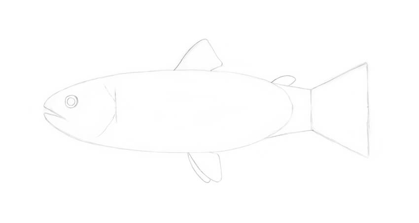 как нарисовать рыбу карандашом