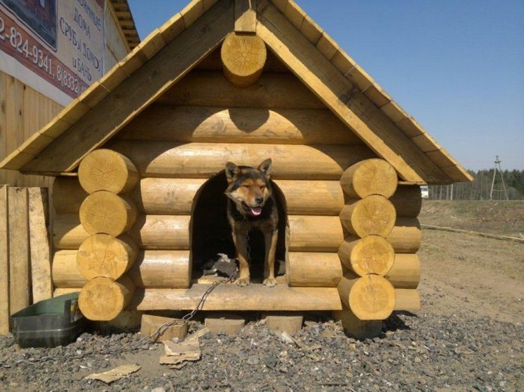 будка для собаки
