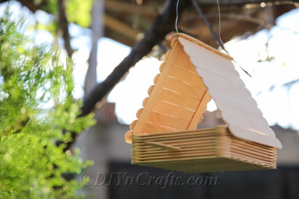 It is fast and easy to make your own bird feeder.