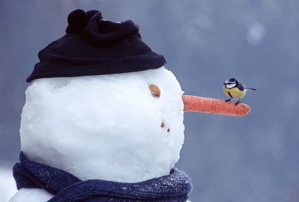 Как сделать лицо снеговику из снега