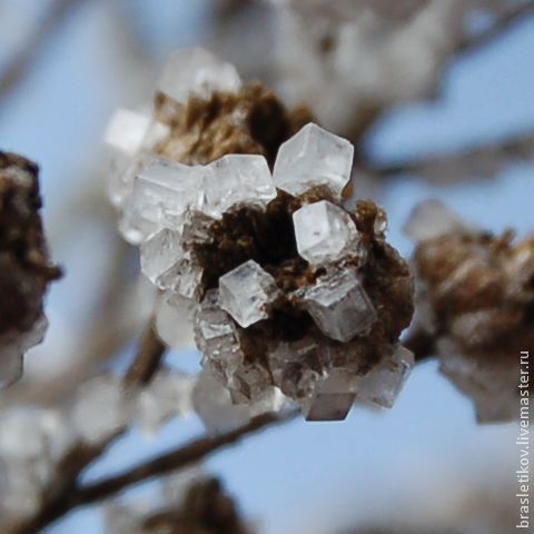 «Выращиваем кристаллы» на природном осеннем материале, фото № 5