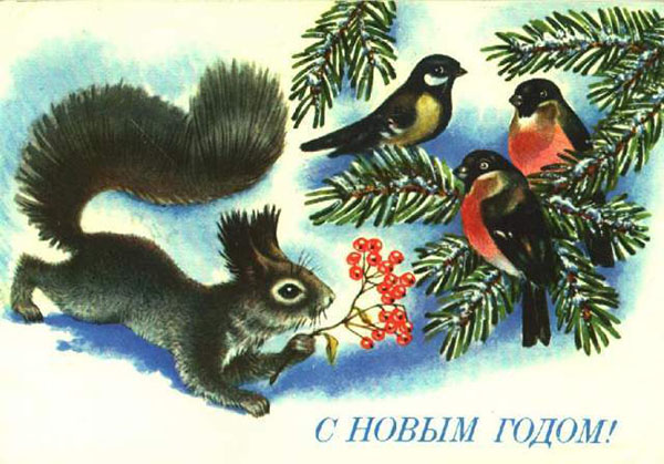 Снегири на старых новогодних открытках: неисчерпаемый источник вдохновения, фото № 14