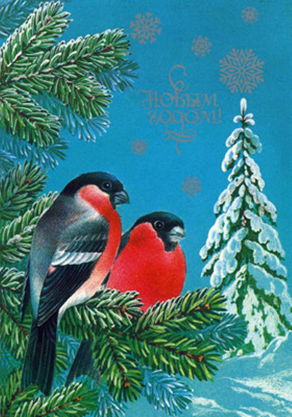 Снегири на старых новогодних открытках: неисчерпаемый источник вдохновения, фото № 10