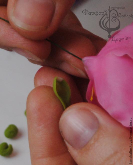 Лепка цветка шиповника из глины Modern Clay, фото № 25