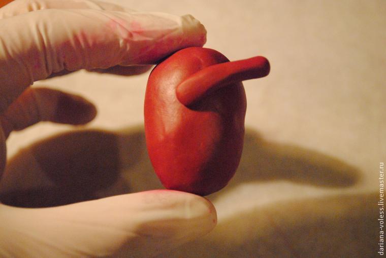 Делаем анатомическое сердце из полимерной глины, фото № 11