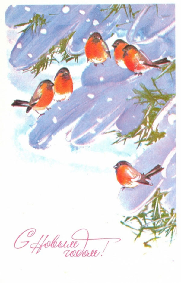 Снегири на старых новогодних открытках: неисчерпаемый источник вдохновения, фото № 6