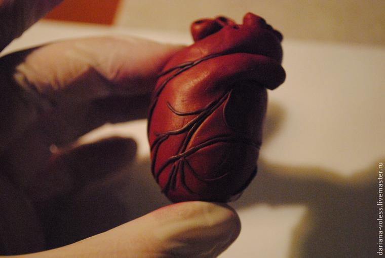 Делаем анатомическое сердце из полимерной глины, фото № 23