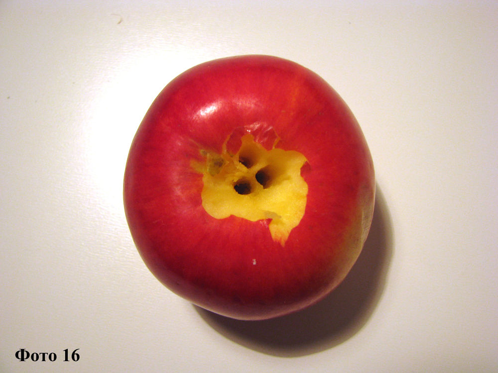 Топиарий «Осенняя яблоня», фото № 16