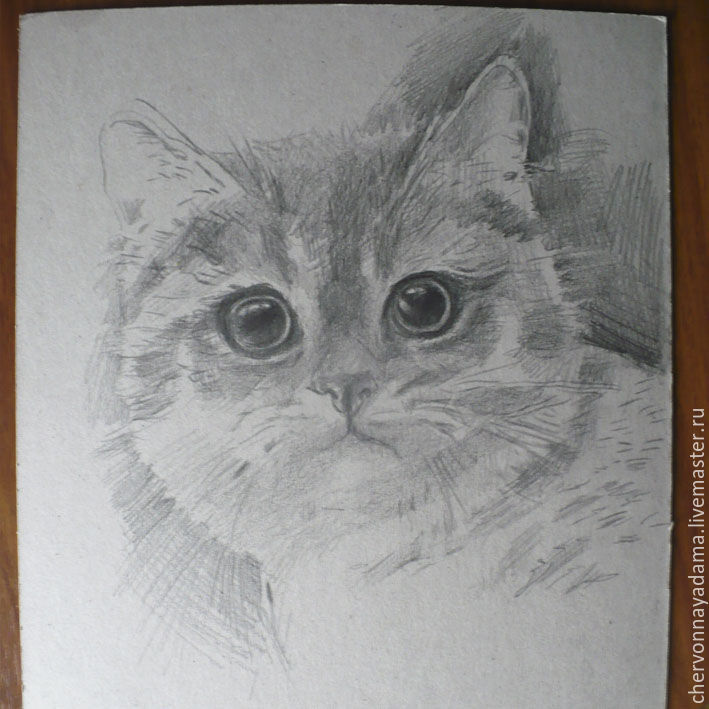 Рисуем котика цветными карандашами, фото № 1