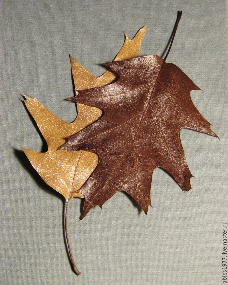 Как быстро законсервировать листья в глицерине, фото № 3