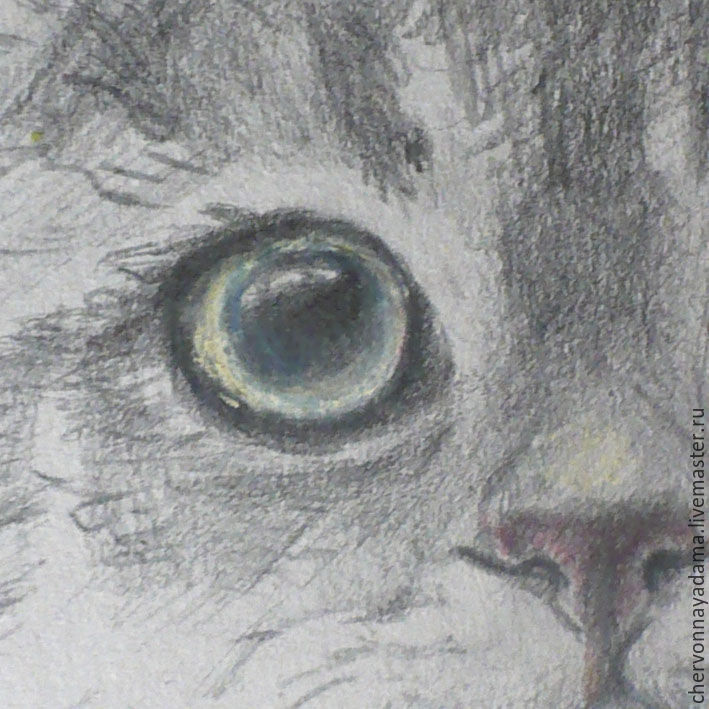 Рисуем котика цветными карандашами, фото № 2