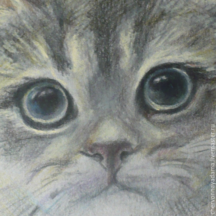 Рисуем котика цветными карандашами, фото № 5
