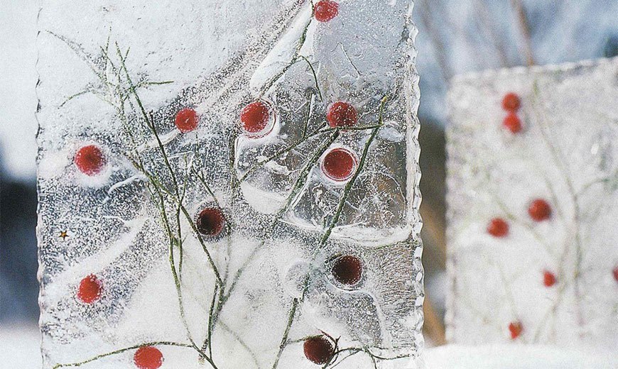 Ледяная композиция для сада