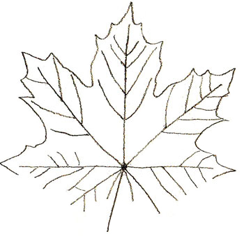 Как нарисовать осенний букет из листьев поэтапно   подборка картинок (10)