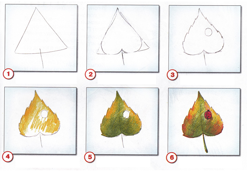 Как нарисовать осенний букет из листьев поэтапно   подборка картинок (13)