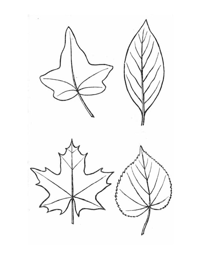 Как нарисовать осенний букет из листьев поэтапно   подборка картинок (23)