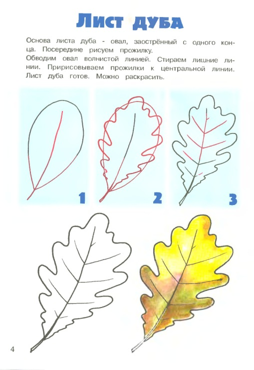Как нарисовать осенний букет из листьев поэтапно   подборка картинок (6)