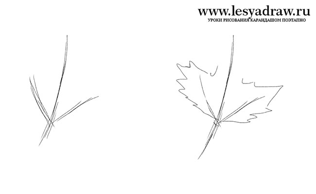 Как нарисовать осенний букет из листьев поэтапно   подборка картинок (9)