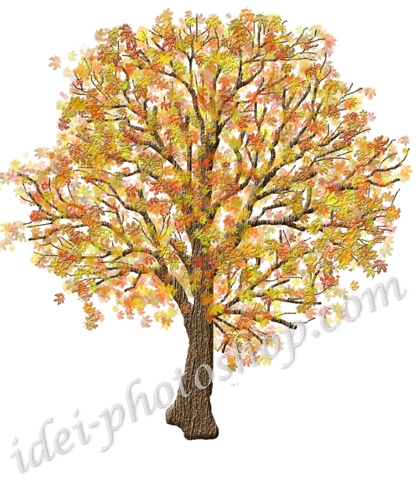 Как нарисовать листья деревьев красками   рисунки 004