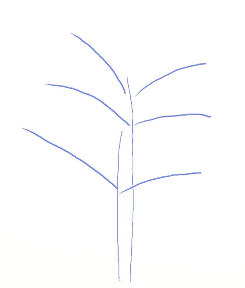 Как нарисовать листья деревьев красками   рисунки 010