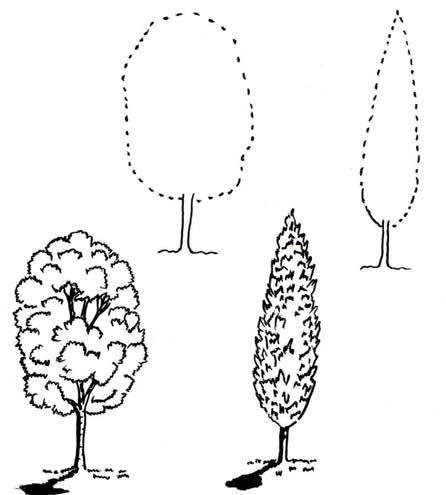 Как нарисовать листья деревьев красками   рисунки 018