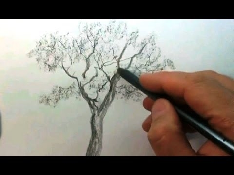 Как нарисовать листья деревьев красками   рисунки 020