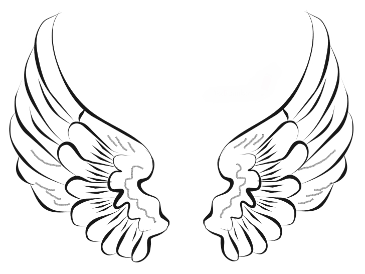 Как нарисовать поэтапно крылья ангела   рисунки 021
