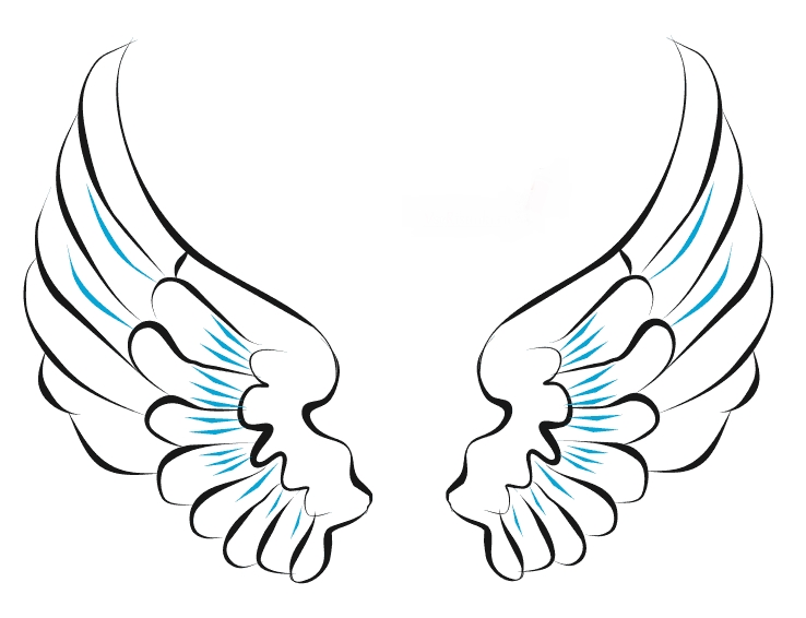 Как нарисовать поэтапно крылья ангела   рисунки 022