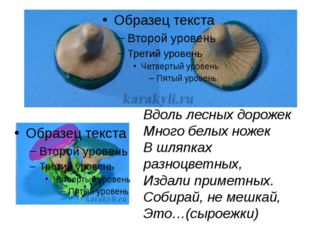 Вдоль лесных дорожек Много белых ножек В шляпках разноцветных, Издали примет