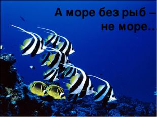 А море без рыб – не море… 