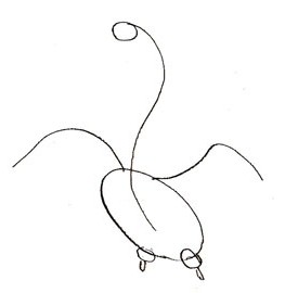 как нарисовать лебедя 
