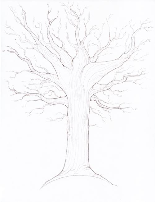 как нарисовать ствол дерева