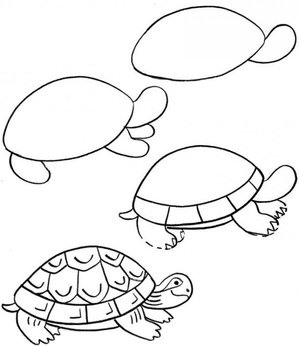 как нарисовать черепаху карандашом поэтапно