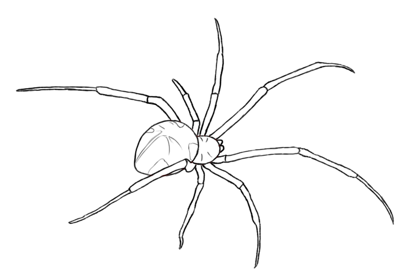 рисунок паука
