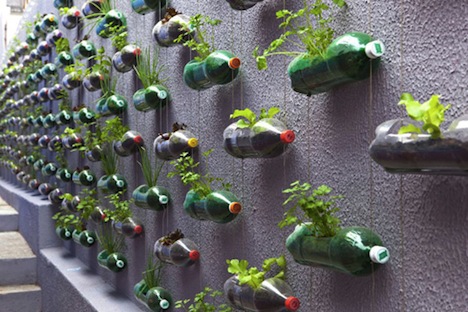вертикальный сад из пластиковых бутылок своими руками
