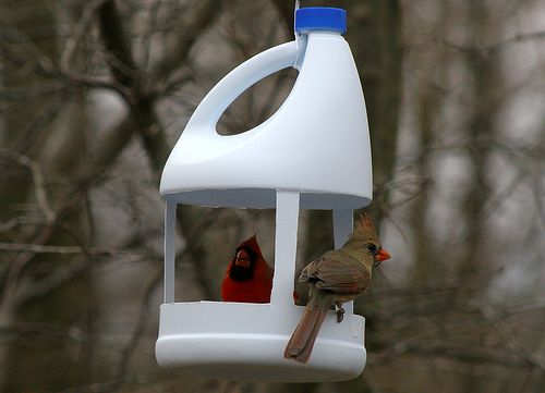 кормушка для птиц из пластиковой бутылки из-под бытовой химии