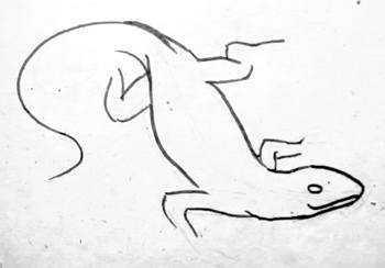 Второй вариант рисунка ящерицы: прорисовываем конечности и хвост