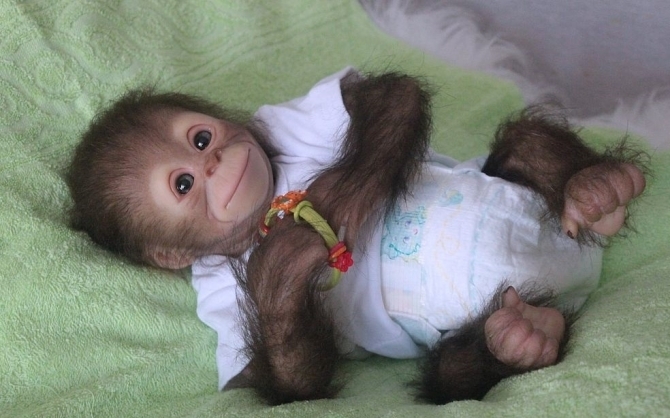 обезьяна в пеленках
