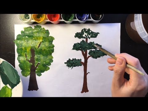 Рисуем деревья: дуб и сосну