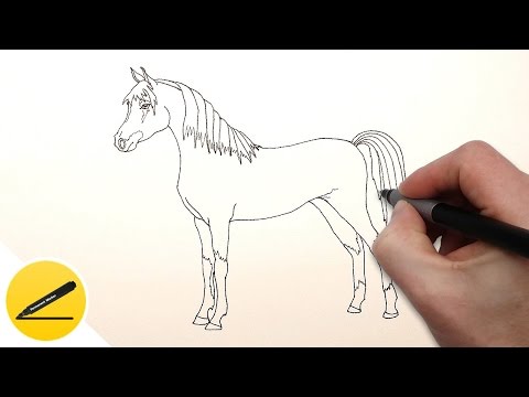 Как Нарисовать Лошадь поэтапно 