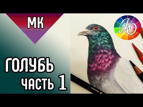 ГОЛУБЬ 👍✔ Как нарисовать птицу цветными карандашами (переливающиеся перья) / HowToDraw a pigeon