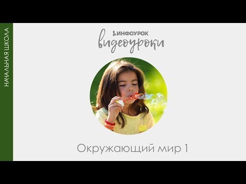 Модель Земли- глобус 