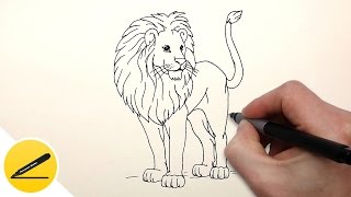 Как Нарисовать Льва поэтапно 