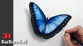 Как нарисовать бабочку цветными карандашами.  Шаг за шагом.