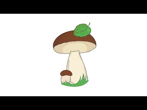 Как нарисовать грибы: инструкция от EvriKak