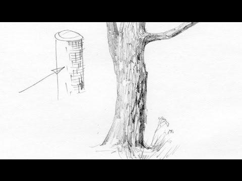 Как нарисовать кору дерева? Художник: Алексей Епишин. Рисунок карандашом.