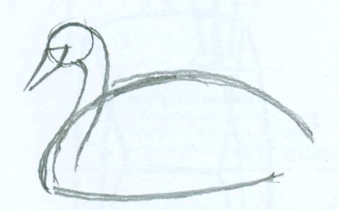 Как нарисовать голову лебедя карандашом поэтапно