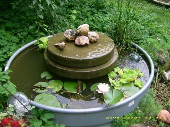 Миниатюрный водоем из старой бочки